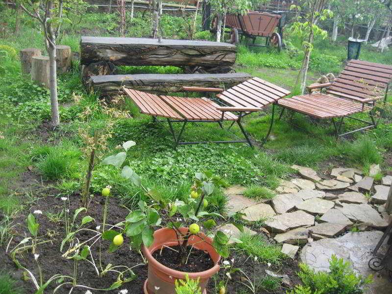 Leaganul Bucovinei Guest House Suceava Extérieur photo