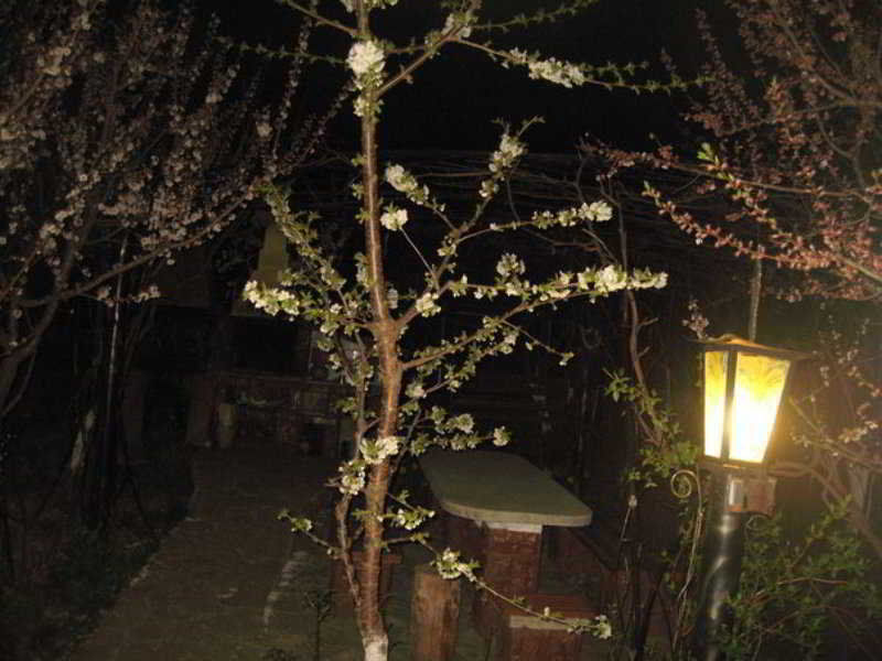 Leaganul Bucovinei Guest House Suceava Extérieur photo
